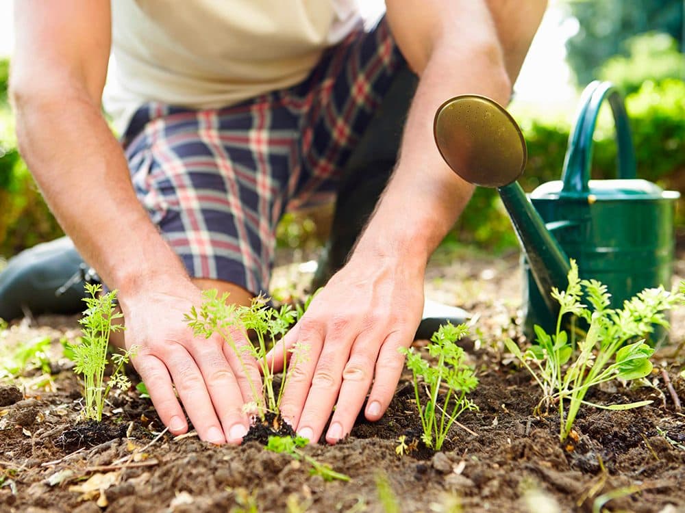Jardinage